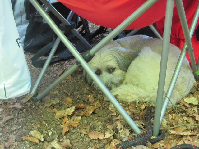 Luna-Maus, so ein Kontrollposten  kann ganz  schön anstrengend sein