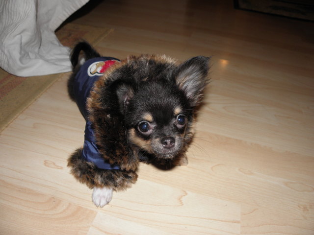 Mann o Mann diese Menschen mit ihren Gewand.