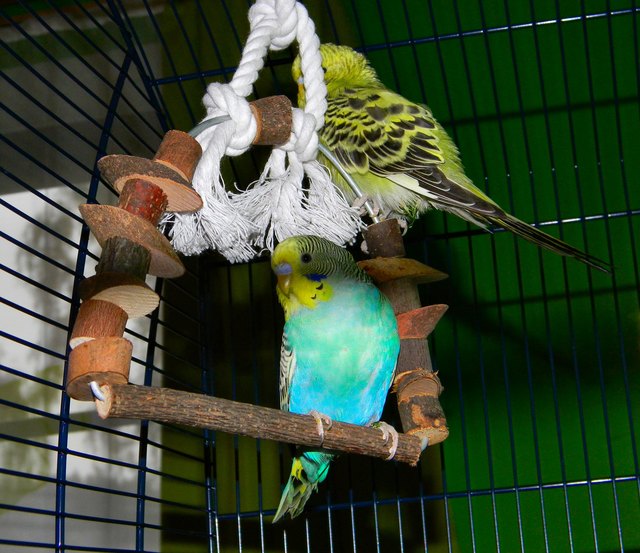 Jonny & Susi - beide noch jung