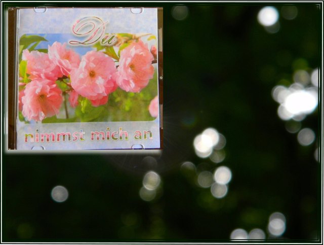 CD-Cover