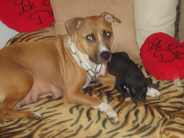 akira mit ihren baby