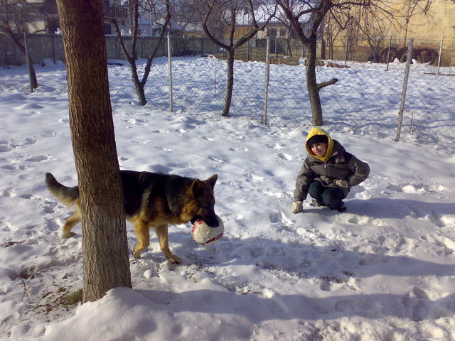 Bitte gib mir den Ball zurück,ich mache keine Fauls mehr...