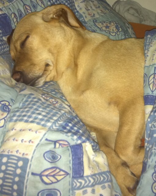 Fly das Kuschelmonster :)