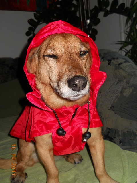 Regenwetter brrrrrrrrrr