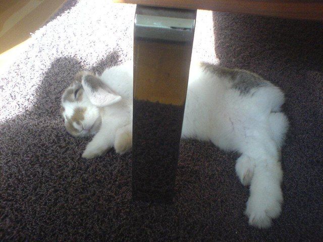 Natural Born Chiller