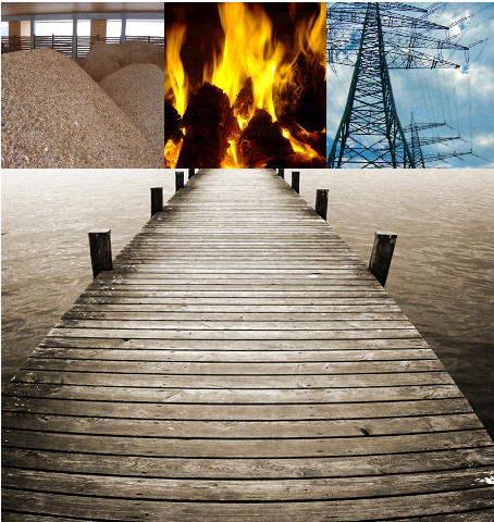 Der neue (Holz)Weg: Biomasse zur Strom- und Wärmeproduktion