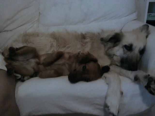 Mandy u. Lia .may beim chillen