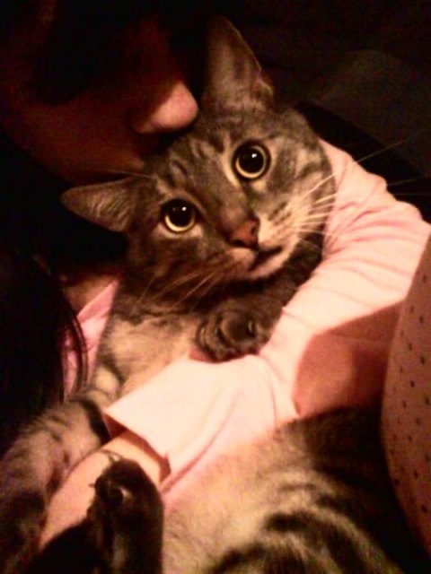 Devil (ja, er heißt wirklich so :D)