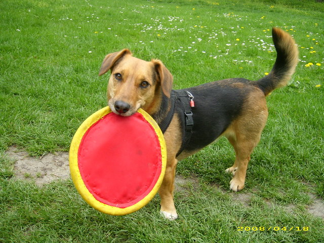 Spielst du mit mir???