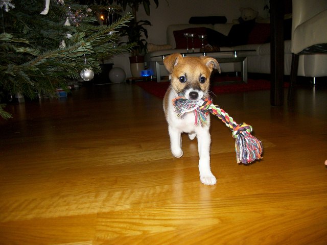 das Christkinderl war da :)