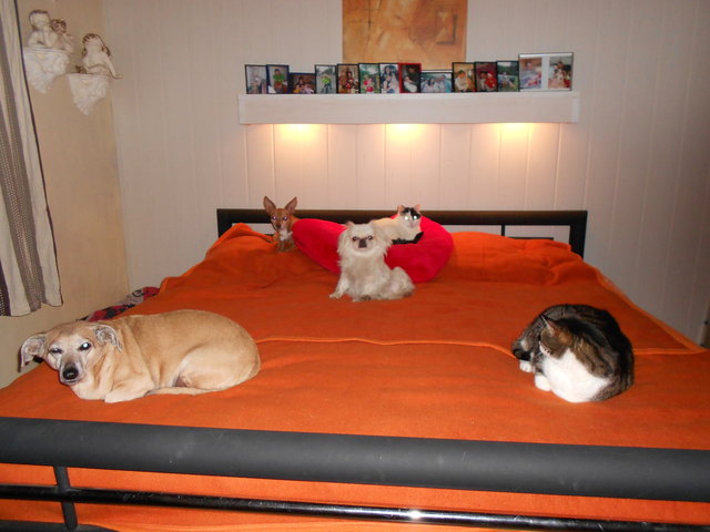 nach dem spaziergang ,die ausruhphase