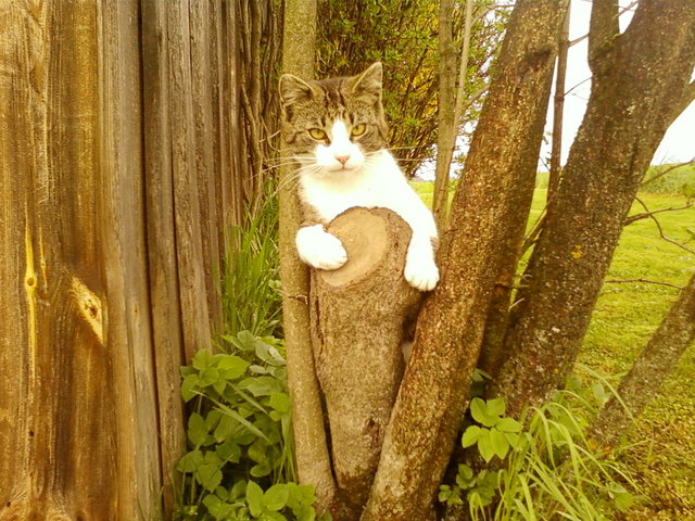 Immer schön geputzt....