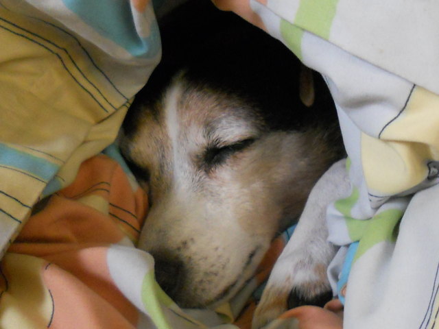 zum Spielen ist es viel zu kaaaaalt.