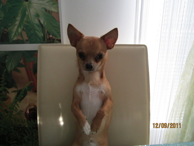 mein kleiner KASPERL "Speedy" immer für ein Späßchen gut