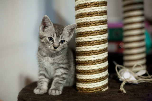 Als Timo noch ein Baby war...