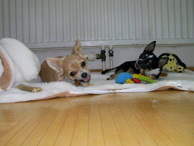 Zu zweit schmeckt es einfach besser