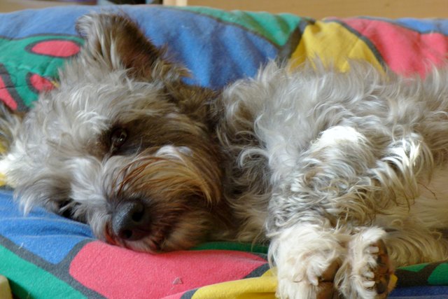 liebling von flo und lukas