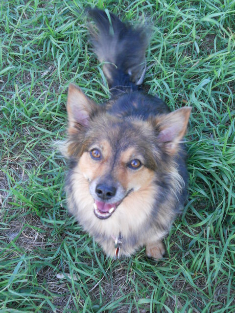 wo ist denn jetzt mein Leckerli geblieben