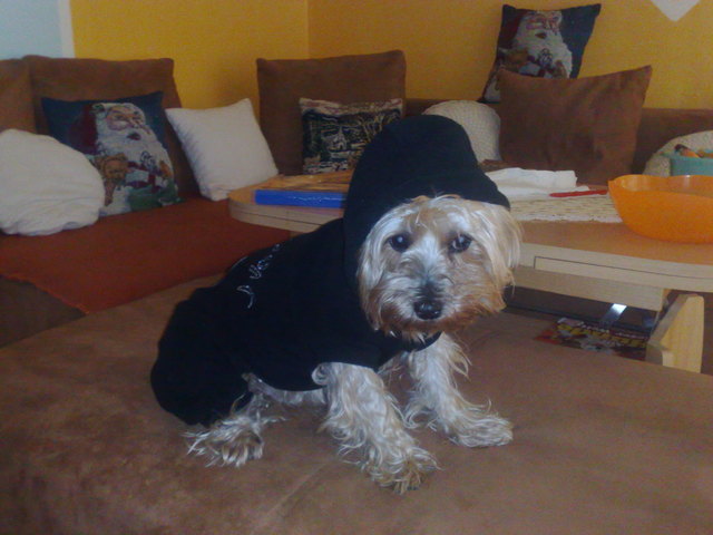 bei dieser kälte zieh ich mich gerne warm an