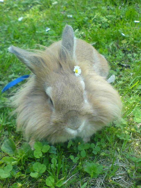 Unser kuschliger Riky