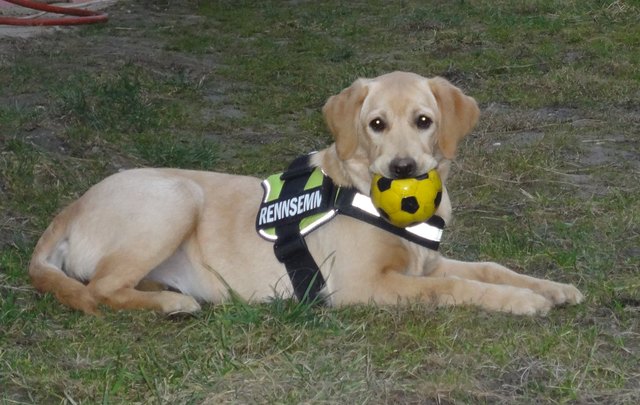 Komm, spiel mir mir!