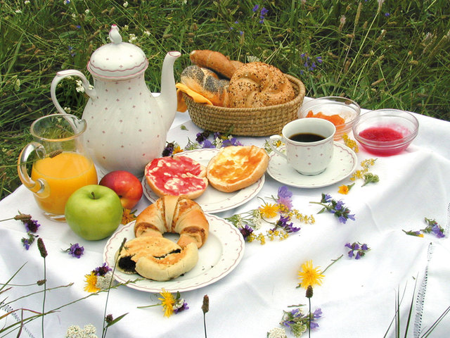 Frühstück im Grünen Hollabrunn