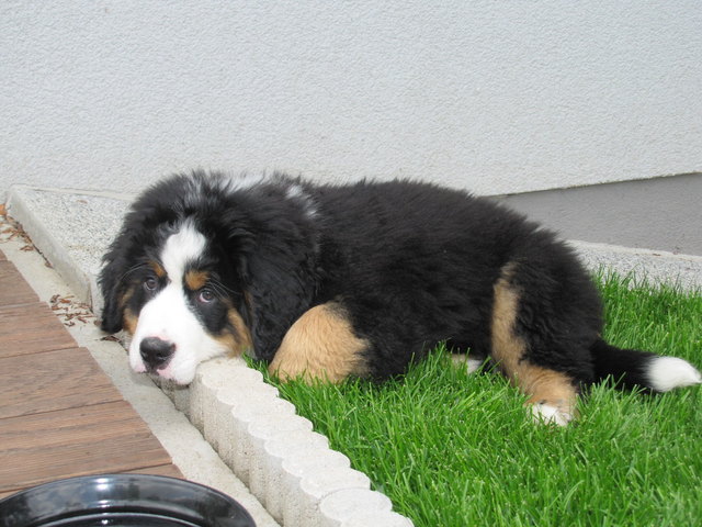 Einfach nur " ABHÄNGEN "