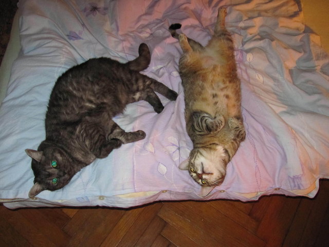 Uns geht`s gut Shirin und Kiara