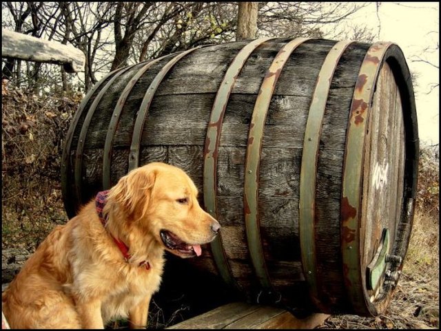 Weinfassbewacher Leopold