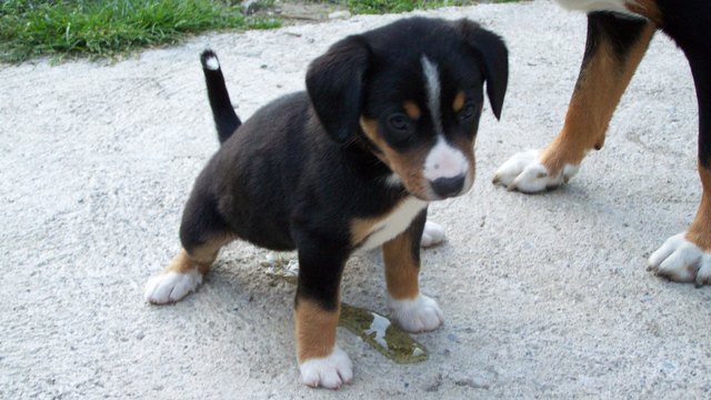 einfach frech und munter während des spielens ein lackerl gemacht ;)