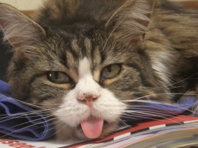 ..bin total entspannt...!