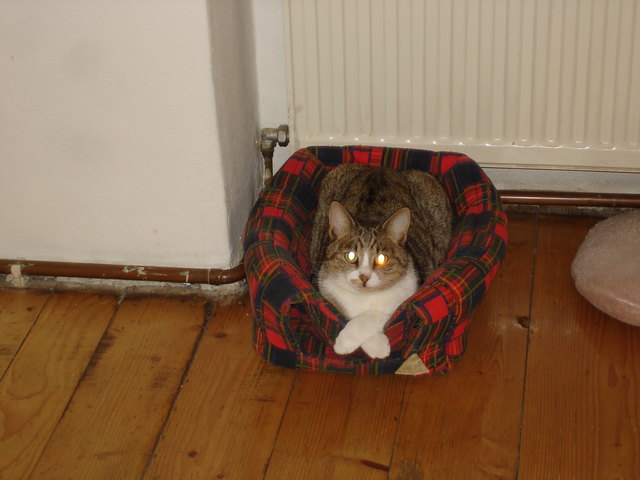 Ganz entspannt in der Küche