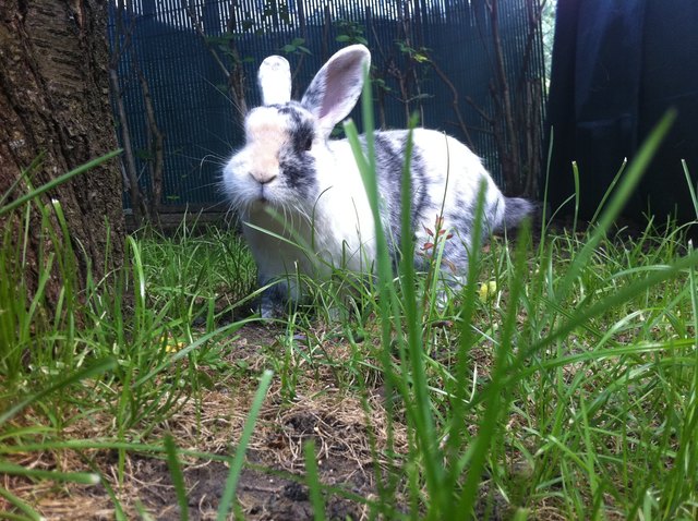 Felix auf Entdeckungsreise