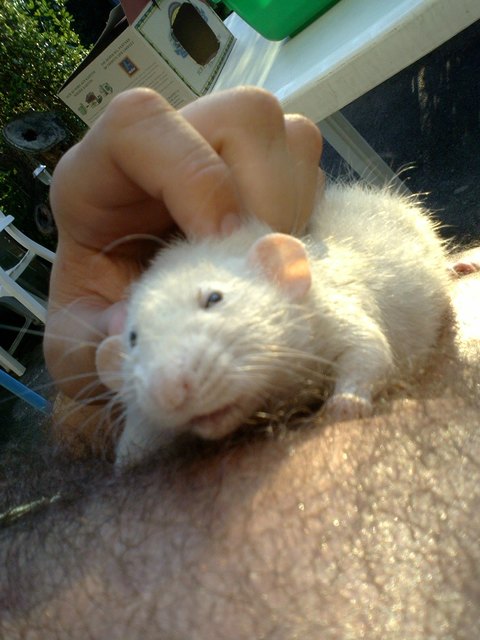 EMELI DER WONNEPROPPEN