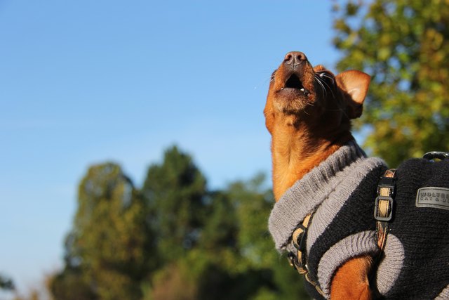 singen kann ich auch :))