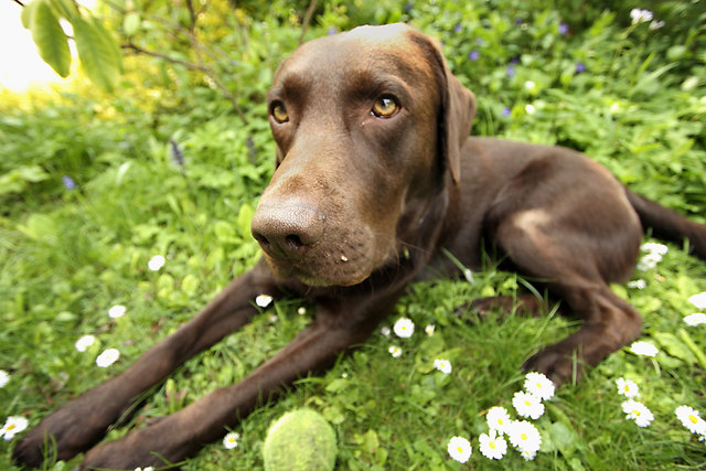 Oskar der Sportliche