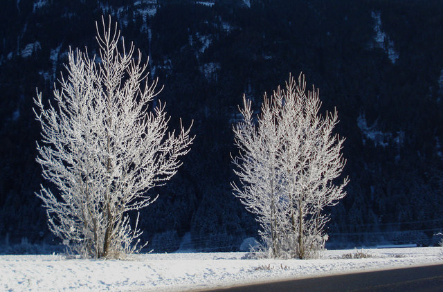 Aufnahme bei der Zufahrt zur Bundesstraße - Mötz(Staudach).