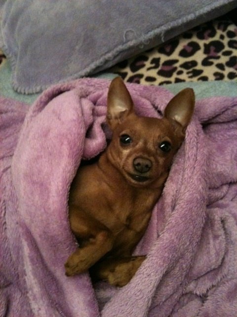 er lässt sichs gut gehen :)