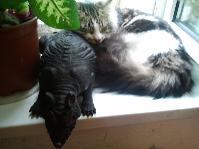 Ich bin ein furchtloser tiger