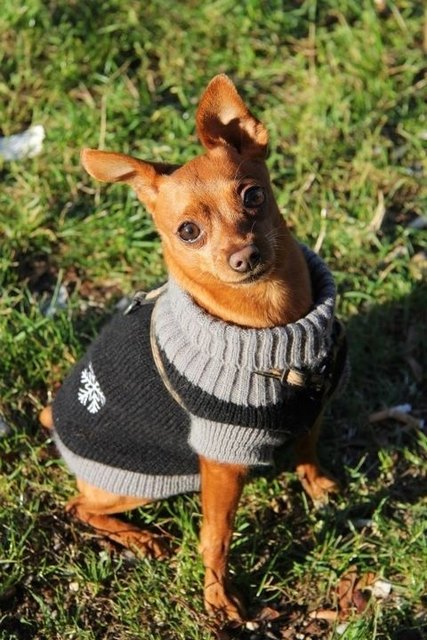 ich genieße die sonne ...