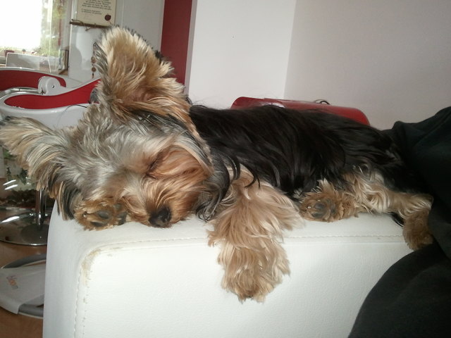 das leben ist schwer...