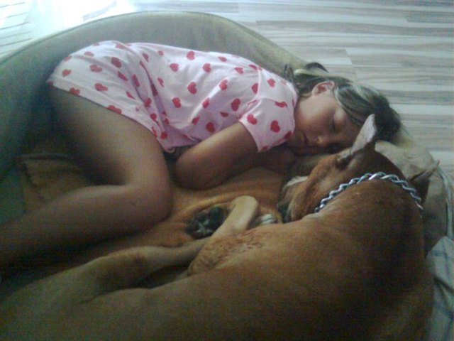 sie teilen sich einfach alles! ein herz und eine seele