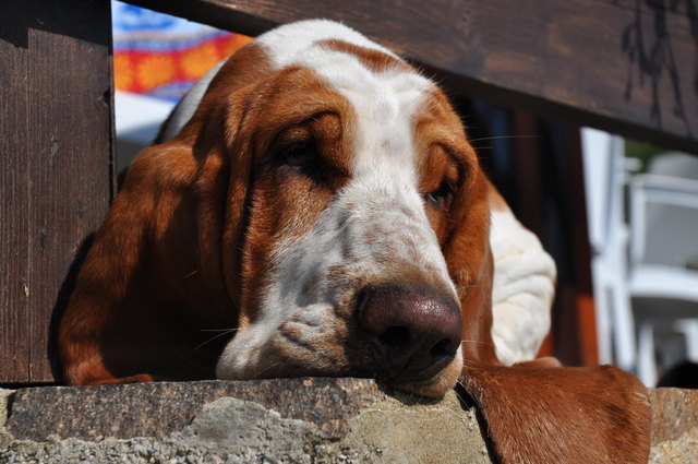 I`m looking for.....