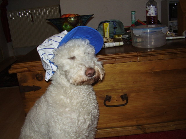 Ich bin ja sowas von coooooooooooooollllllllllllll.............