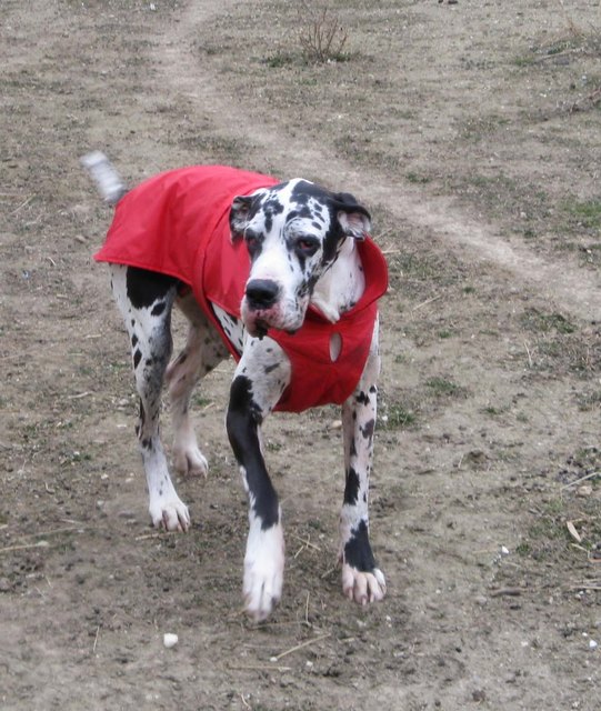 Kein Schnee aber eisige Kälte, zum Glück hab ich mein "Manterl" :-)