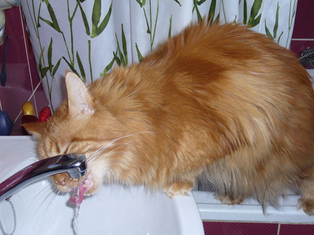 Hab gestern wohl zuviel gefeiert