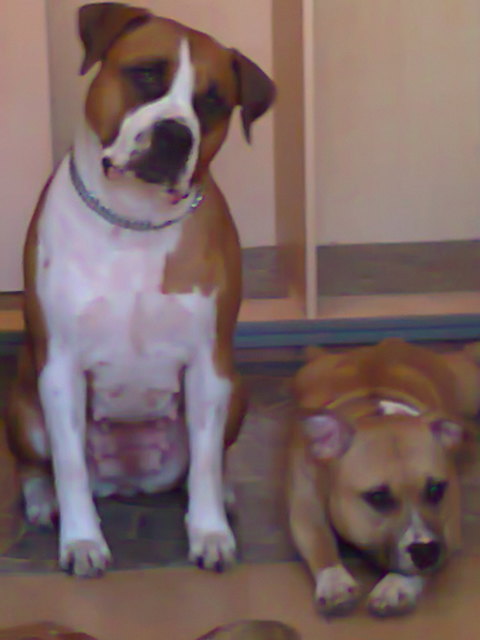 Das sind Queeny und Chiara die Safford Geschwister