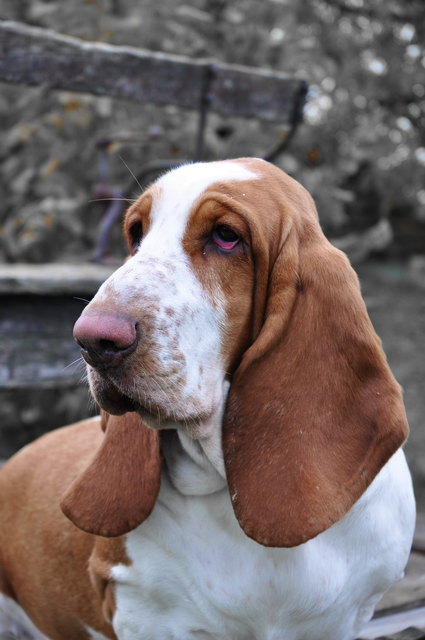 Wer ist die Schönste im ganzen Land?