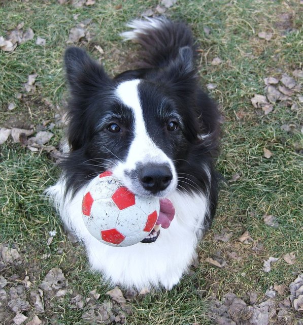 Wilst mit mir spielen?????