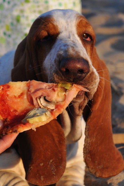 Strand, Sonne, Meer und PIZZA